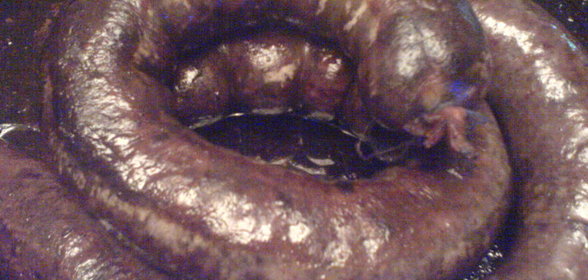 колбаса кровяная