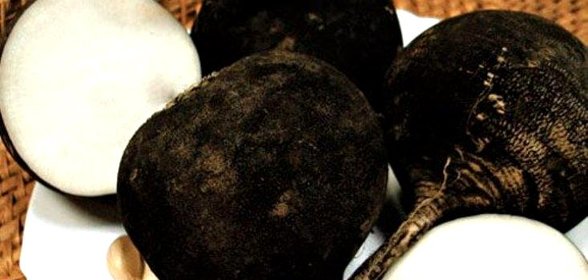 Квашеная редька