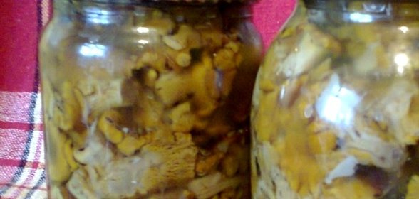 Маринованные лисички на зиму