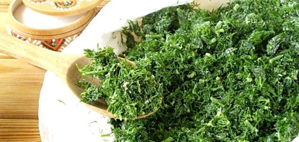 Укроп на зиму