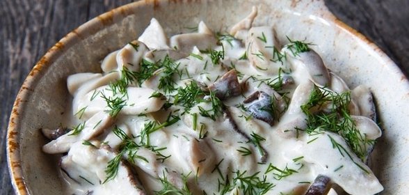 Моховики со сметаной