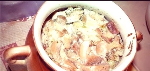 Белые грибы в горшочке