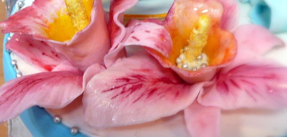 торт Синяя чашка