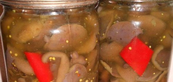 Маринованные моховики