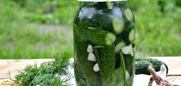 Малосольные огурцы без закатки