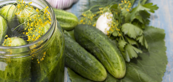 Огурцы малосольные