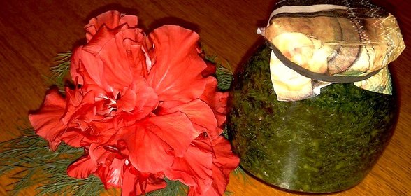 Укроп засоленный на зиму