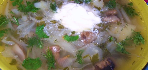 Щи с квашеной капустой и грибами в духовке