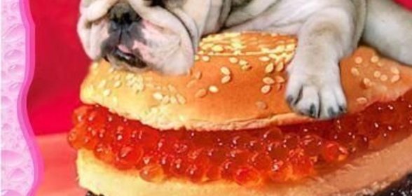 Сухое варенье из лепестков розы