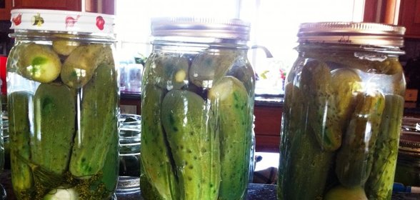 Маринованные огурцы хрустящие на зиму