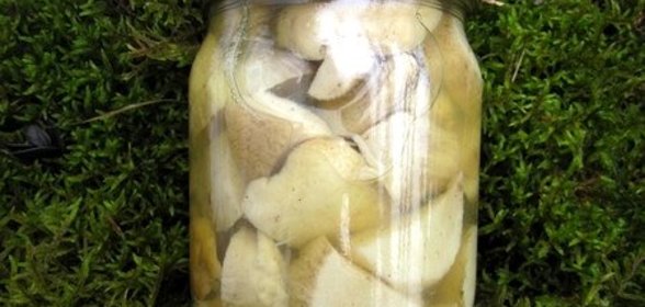 Маринованные белые грибы для супа
