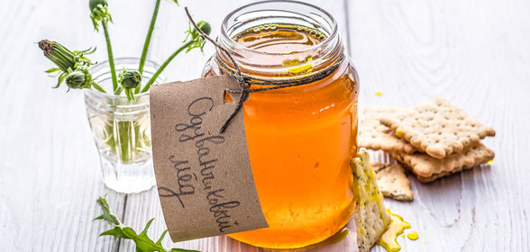 Одуванчиковый мед