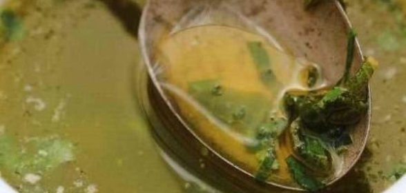 Травяной соус к пасте