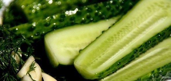 Огурцы сухого посола на зиму
