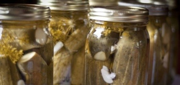 Огурцы с чесноком и укропом на зиму