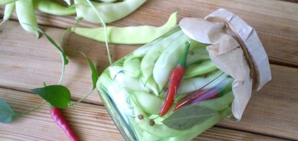 Закатка стручковой фасоли