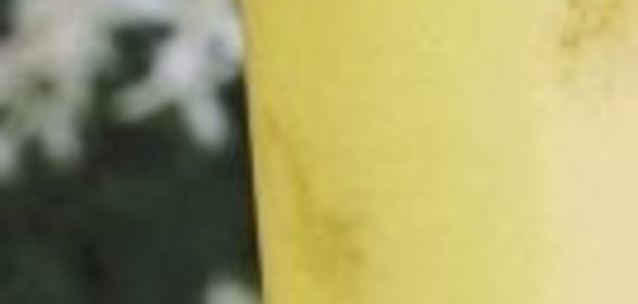 Ореховый соус I