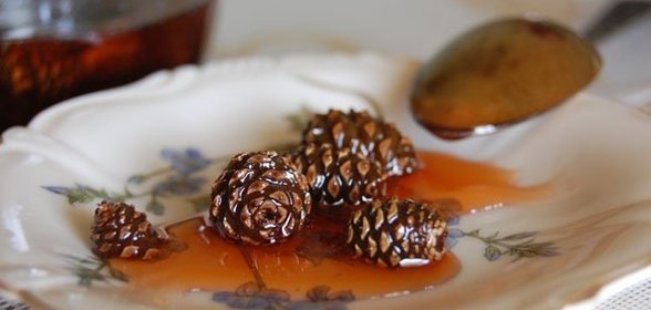 Варенье из сосновых шишек