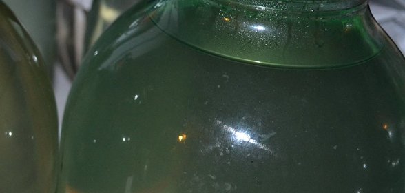 Березовый сок на зиму