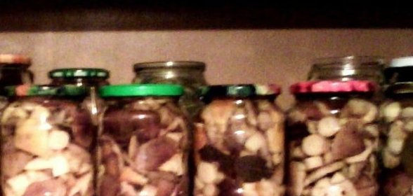 Грибы маринованные