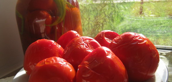 Помидоры малосольные