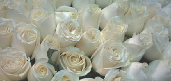 помидоры в томатном соусе