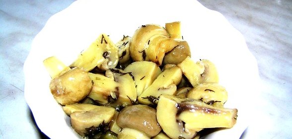 Грибы закусочные