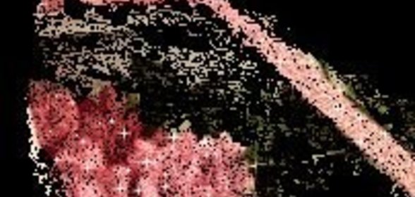 Заморозка рыбы