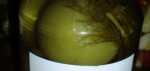 Зеленые помидоры с хреном