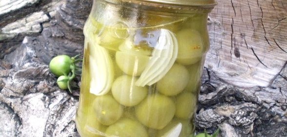 Закатка зеленых помидоров на зиму