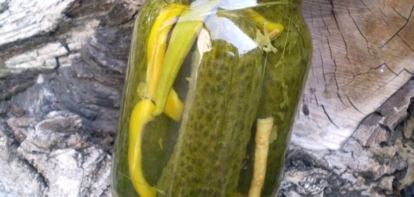 Ядреные огурчики