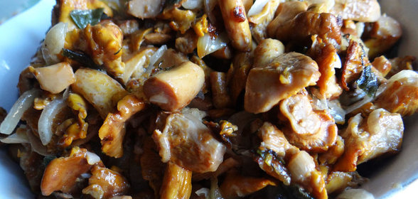 Лисички жаренные со сметаной в мультиварке