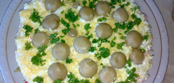 Грибы на поляне