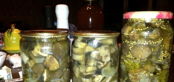 Подосиновики консервированные