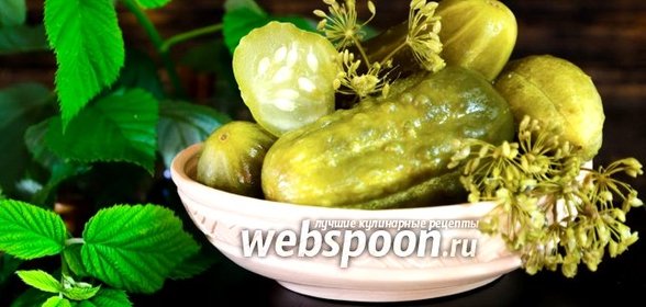 Квашеные огурцы с горчицей