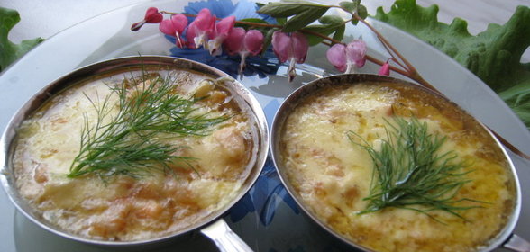 Кокиль из семги с креветками