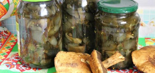 Маринованные моховики