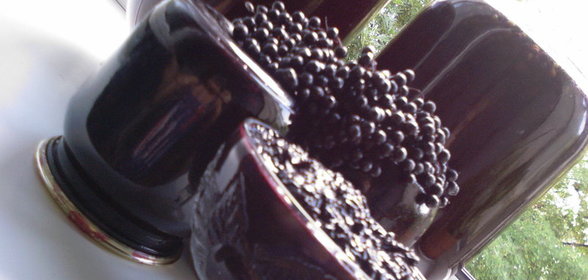 В огороде бузина, в Киеве-дядька, а у меня-варенье