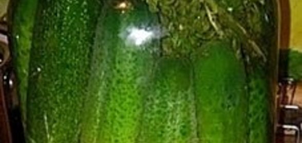 Соленые огурцы на зиму