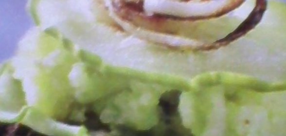 Закуска Яблочный каприз