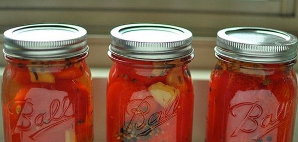 Малосольные помидоры быстрого приготовления на зиму