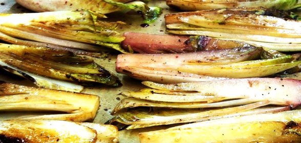 Винный цикорий