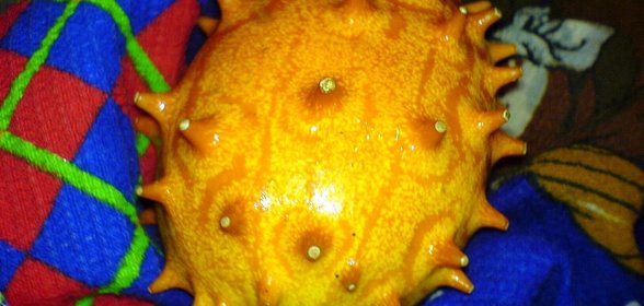 Крем из кивано