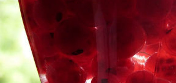 Шашлык из говядины в томатном маринаде