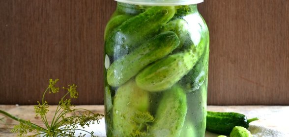 Засолка огурцов без закатки