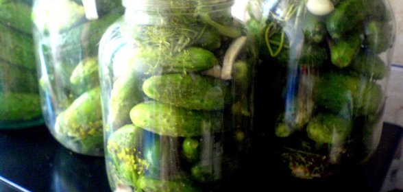 огурцы для моей семьи или на вкус и цвет