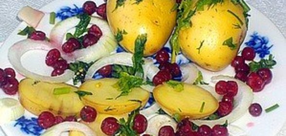 Земляные яблоки малосольные