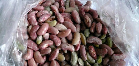 Замороженная фасоль