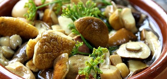 Маринованные белые грибы без стерилизации