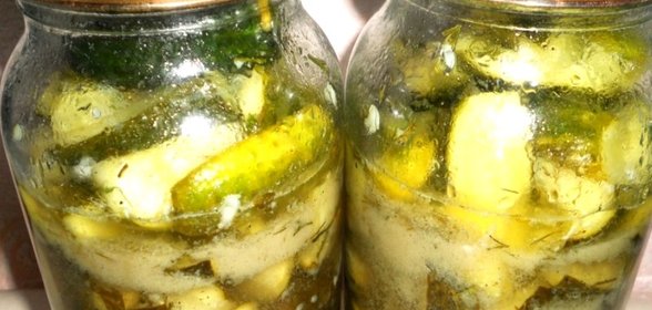 Огурцы в чесночном соусе на зиму